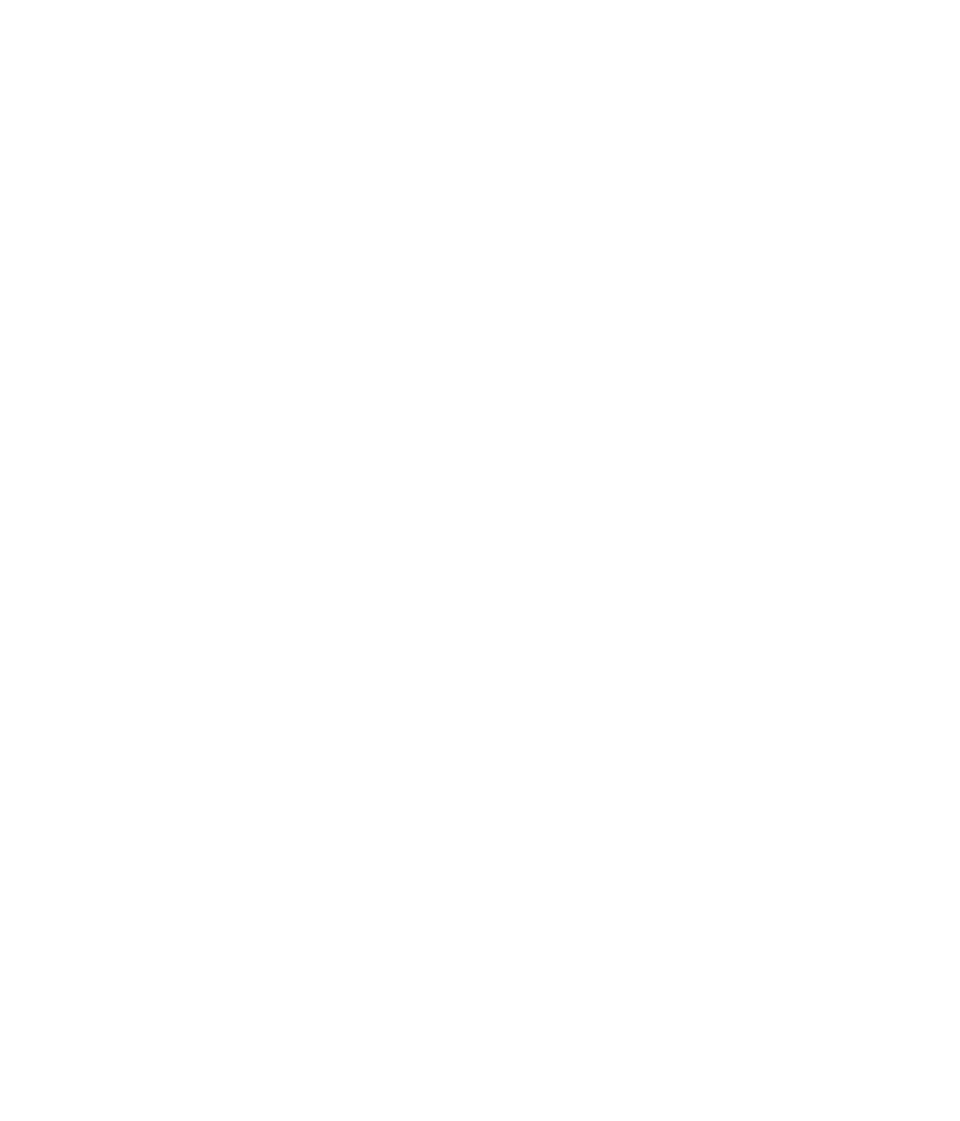 bodhi-mental-health-continuing-care-mindfuli